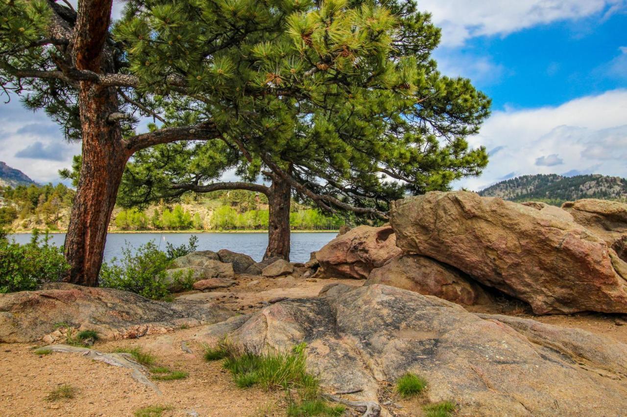 On Fall River - Permit #3193 Estes Park Eksteriør billede